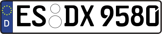 ES-DX9580