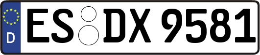 ES-DX9581