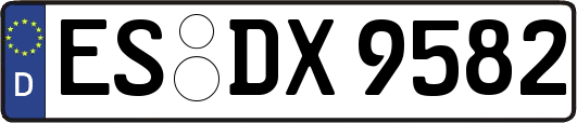 ES-DX9582