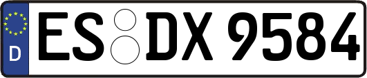 ES-DX9584