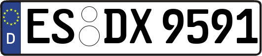 ES-DX9591