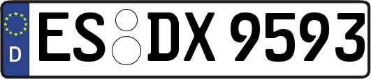 ES-DX9593