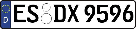 ES-DX9596