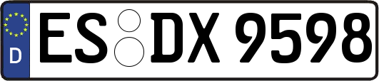 ES-DX9598