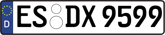 ES-DX9599