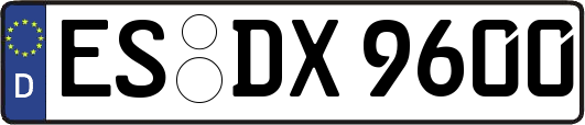 ES-DX9600