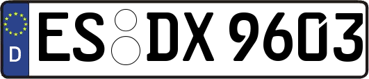 ES-DX9603
