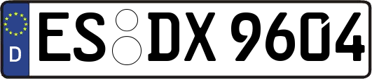 ES-DX9604