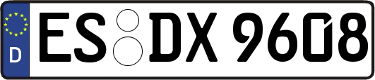 ES-DX9608