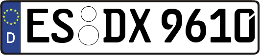 ES-DX9610