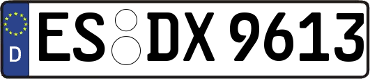 ES-DX9613