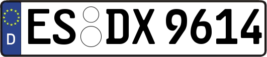 ES-DX9614