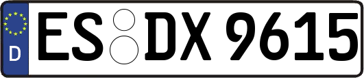 ES-DX9615