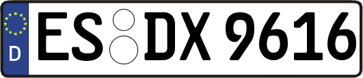 ES-DX9616