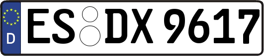 ES-DX9617