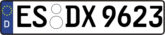 ES-DX9623