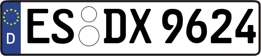 ES-DX9624