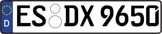 ES-DX9650
