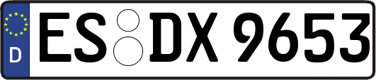 ES-DX9653