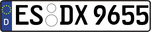 ES-DX9655