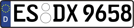 ES-DX9658