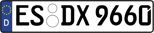 ES-DX9660