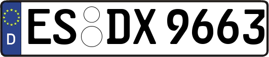 ES-DX9663