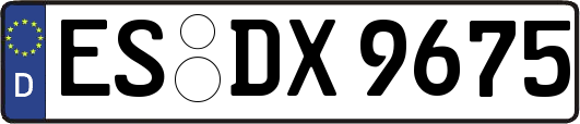 ES-DX9675