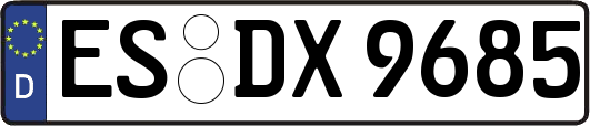 ES-DX9685
