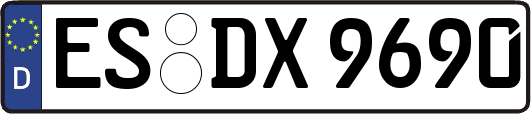 ES-DX9690