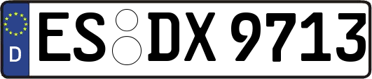 ES-DX9713