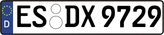ES-DX9729