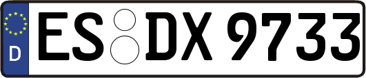 ES-DX9733