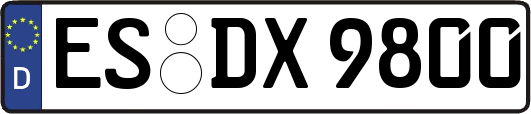 ES-DX9800