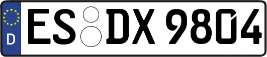 ES-DX9804