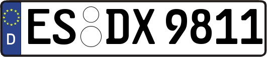 ES-DX9811