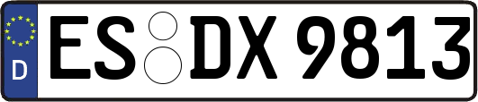 ES-DX9813