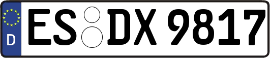 ES-DX9817