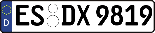 ES-DX9819