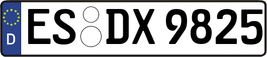 ES-DX9825