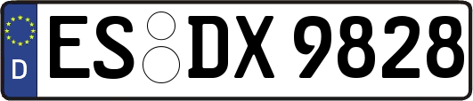 ES-DX9828