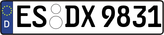ES-DX9831