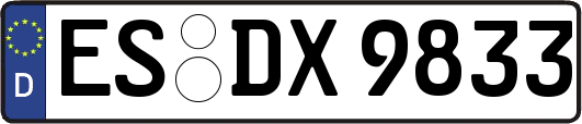 ES-DX9833
