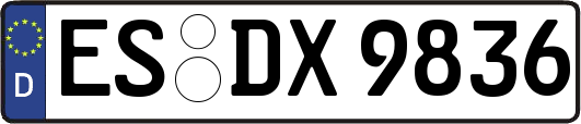 ES-DX9836