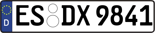 ES-DX9841