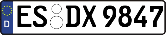 ES-DX9847
