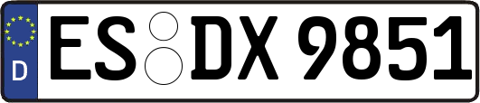 ES-DX9851