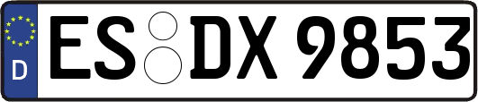 ES-DX9853