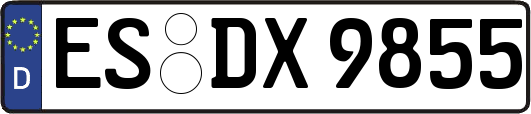ES-DX9855