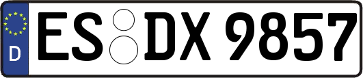 ES-DX9857